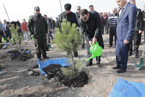 Sayın Valimiz Musa Işın’ın katılımlarıyla “11 Kasım Milli Ağaçlandırma Günü” dolasıyla Fidan Dikme Programı Düzenlendi